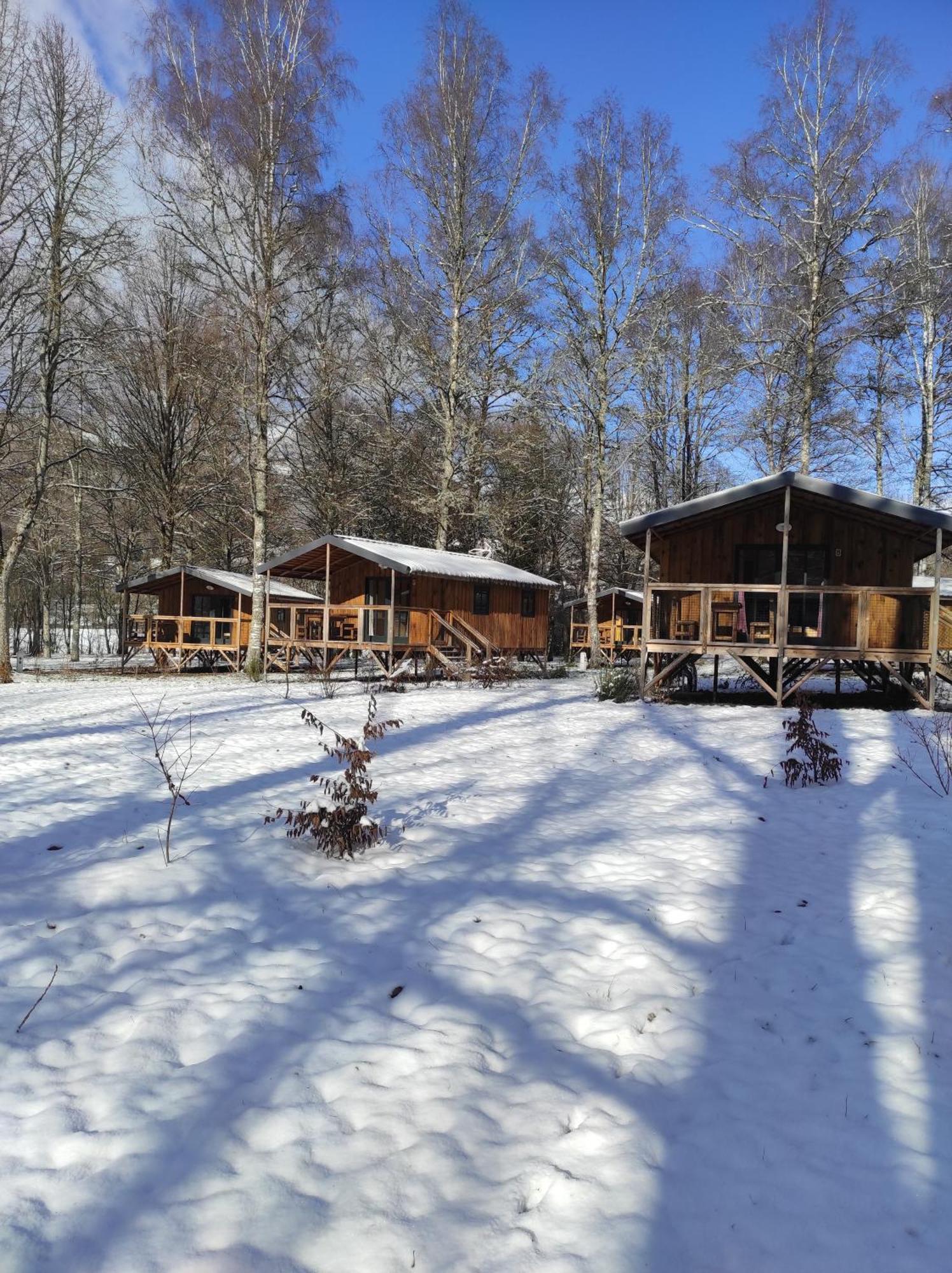 Camping La Borie Basse Condat  Exteriör bild