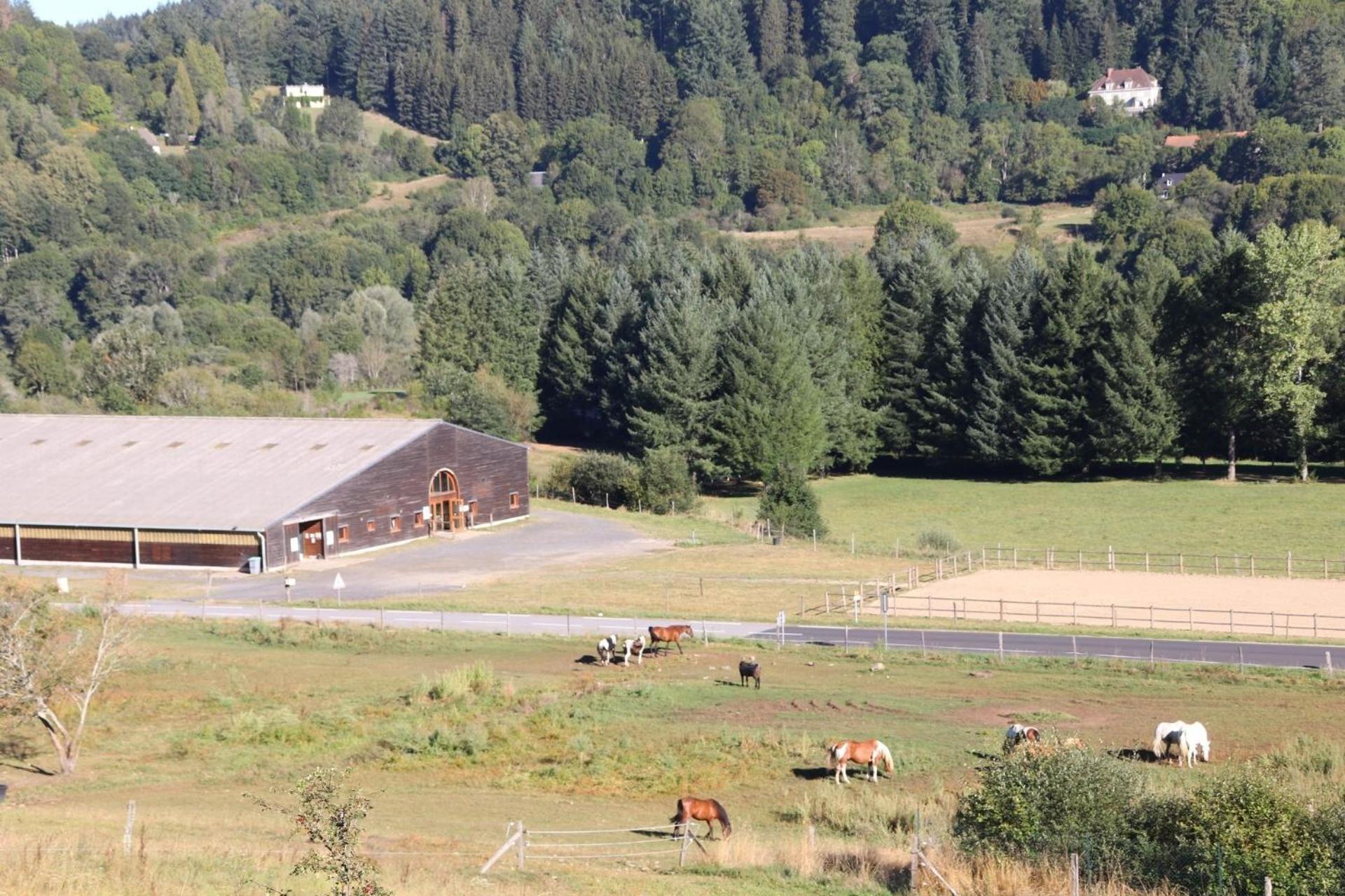 Camping La Borie Basse Condat  Exteriör bild